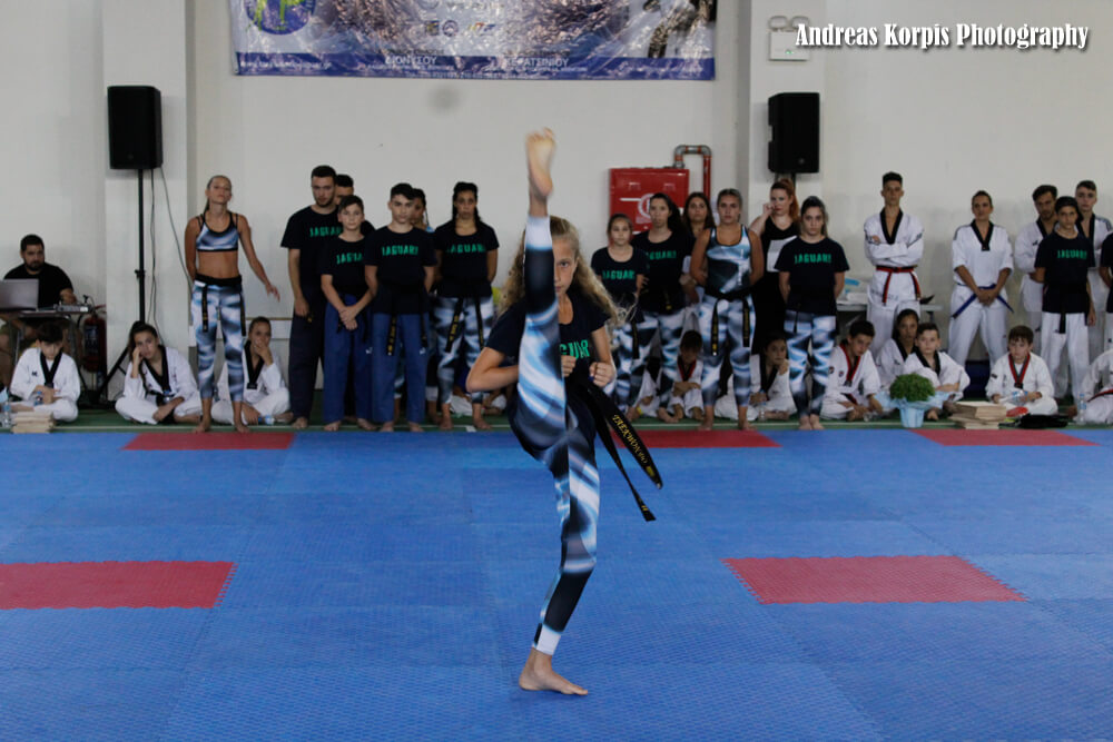 Εξετάσεις DAN 2017 - Taekwondo Jaguar