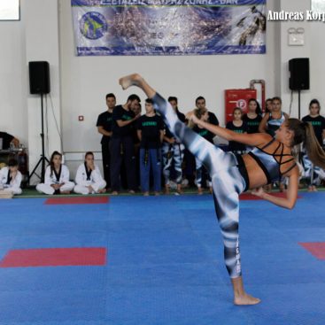 Εξετάσεις DAN 2017 - Taekwondo Jaguar